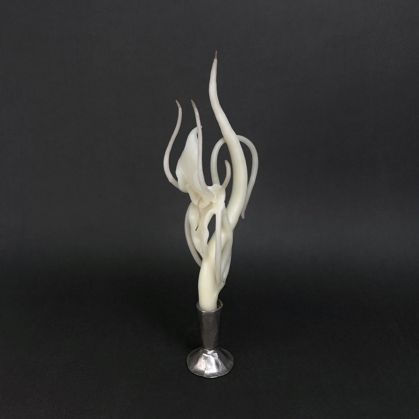 The Flytrap and the Petal Candle